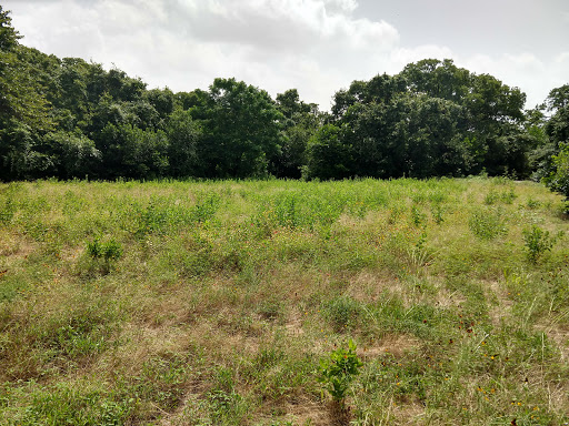 Park «Randol Mill Park», reviews and photos, 1901 W Randol Mill Rd, Arlington, TX 76012, USA