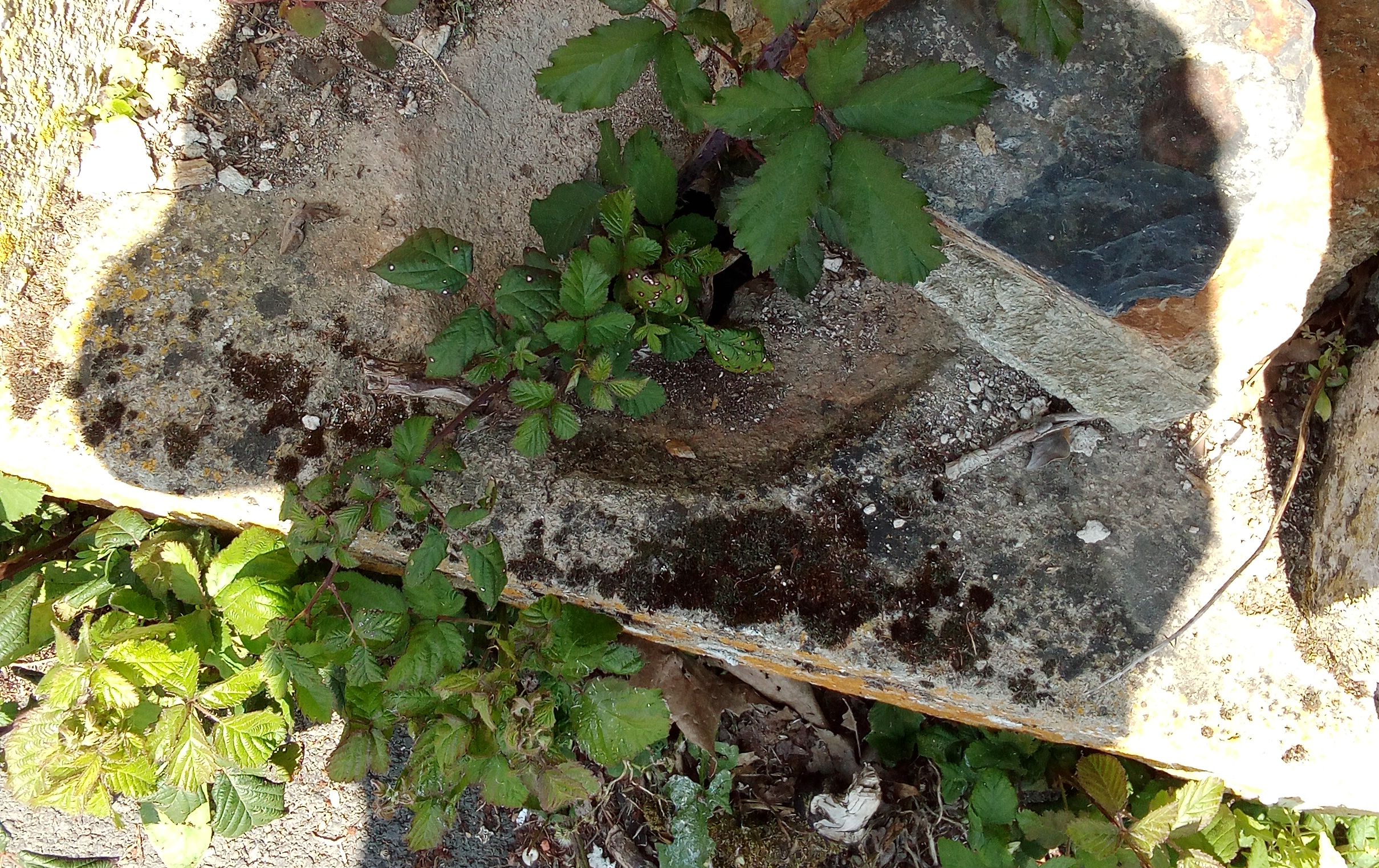 Photo n° 6 de l'avis de Jean.u fait le 02/08/2017 à 15:16