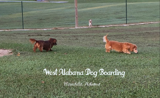 West Alabama Dog Boarding