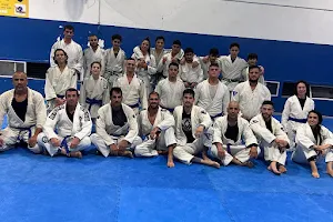 Peretz jujitsu image