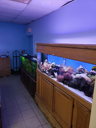 Tropical Fish Store «Monfort Aquarium & Pet», reviews and photos, 6520 Colerain Ave, Cincinnati, OH 45239, USA