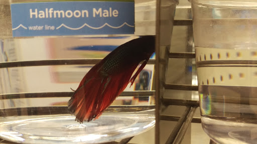 Pet Supply Store «Petco Animal Supplies», reviews and photos, 4665 Garth Rd #400, Baytown, TX 77521, USA