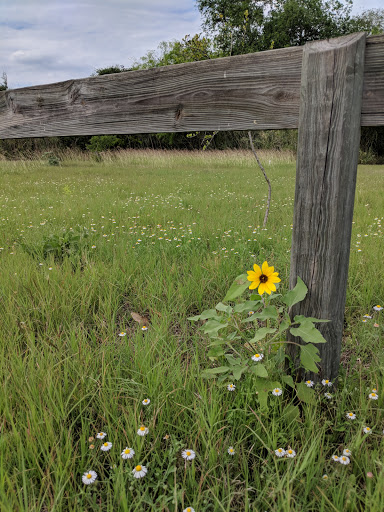 Nature Preserve «McAllen Nature Center», reviews and photos, 4101 U.S. 83 Business, McAllen, TX 78501, USA