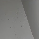 Photo n°4 de l'avis de Sofia.e fait le 01/10/2023 à 10:34 sur le  Vitória Stone Hotel à Evora