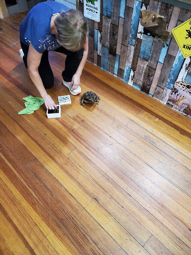 Aquarium «Team ECCO Ocean Center & Aquarium», reviews and photos, 511 N Main St, Hendersonville, NC 28792, USA