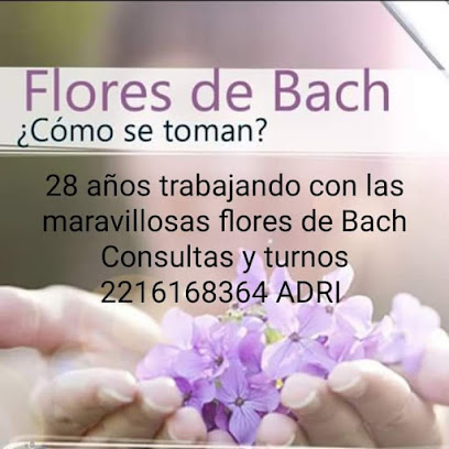 Flores De Bach en La Plata Adri