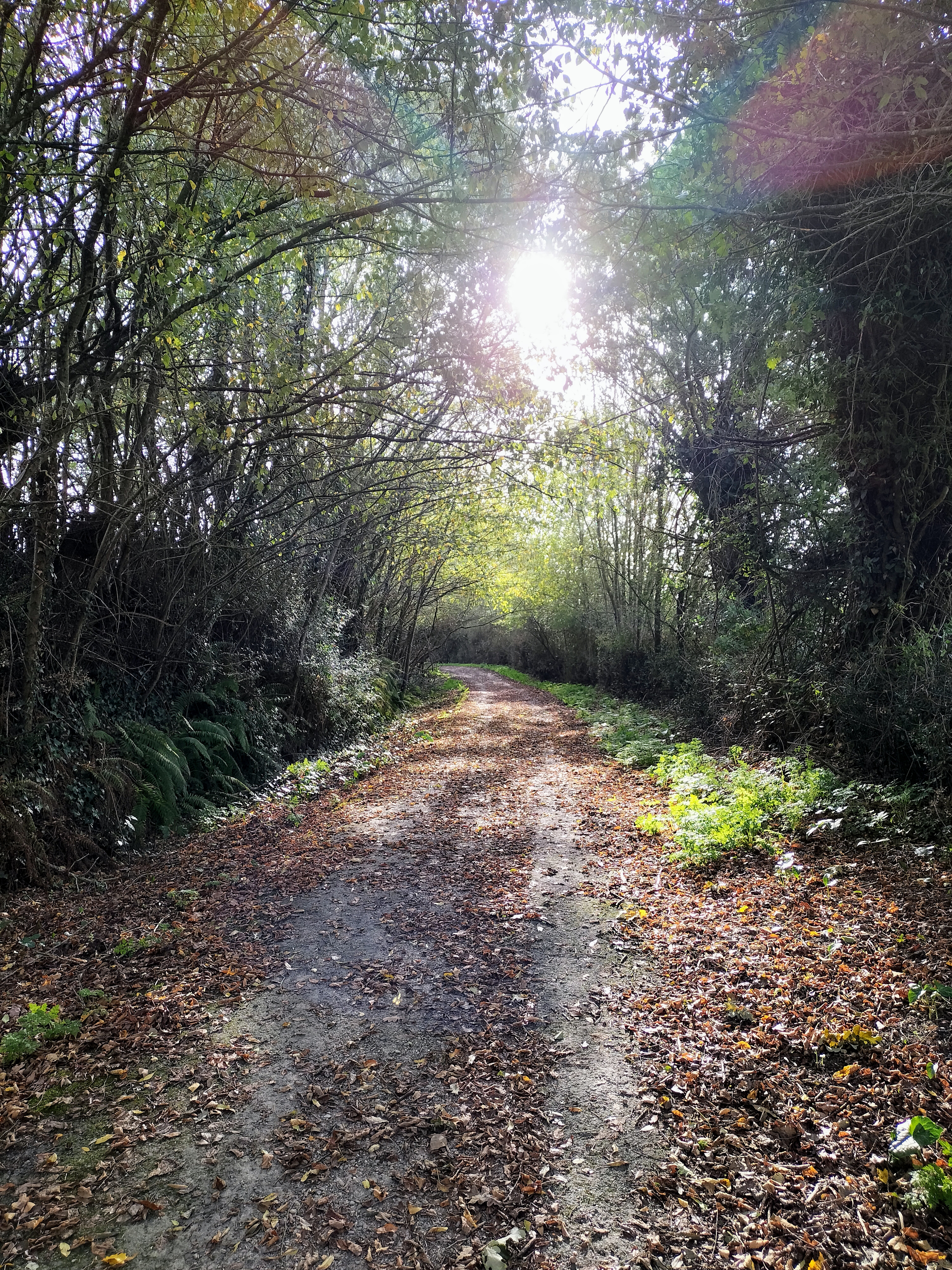 Photo n° 14 de l'avis de Adeline.i fait le 18/11/2022 à 17:24
