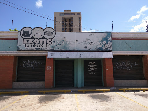 Tiendas de filatelia en Maracaibo