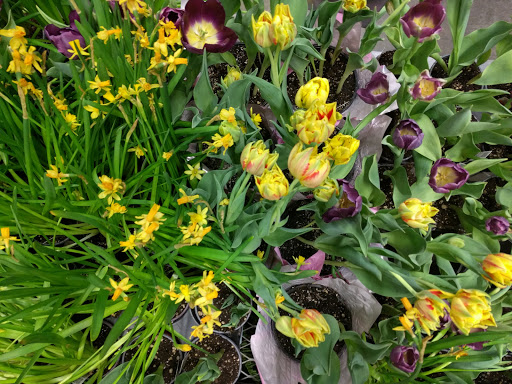 Home Improvement Store «The Home Depot», reviews and photos, 16420 Washington St, Thornton, CO 80023, USA