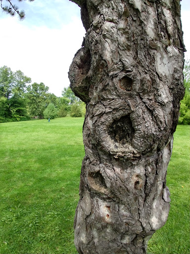 Golf Course «Hiawatha Golf Course», reviews and photos, 4553 Longfellow Ave, Minneapolis, MN 55407, USA