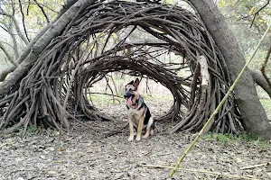 Colorado River Park Wildlife Sanctuary image