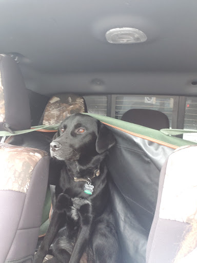 Pet Supply Store «Petco Animal Supplies», reviews and photos, 3636 Harrison Ave b, Butte, MT 59701, USA