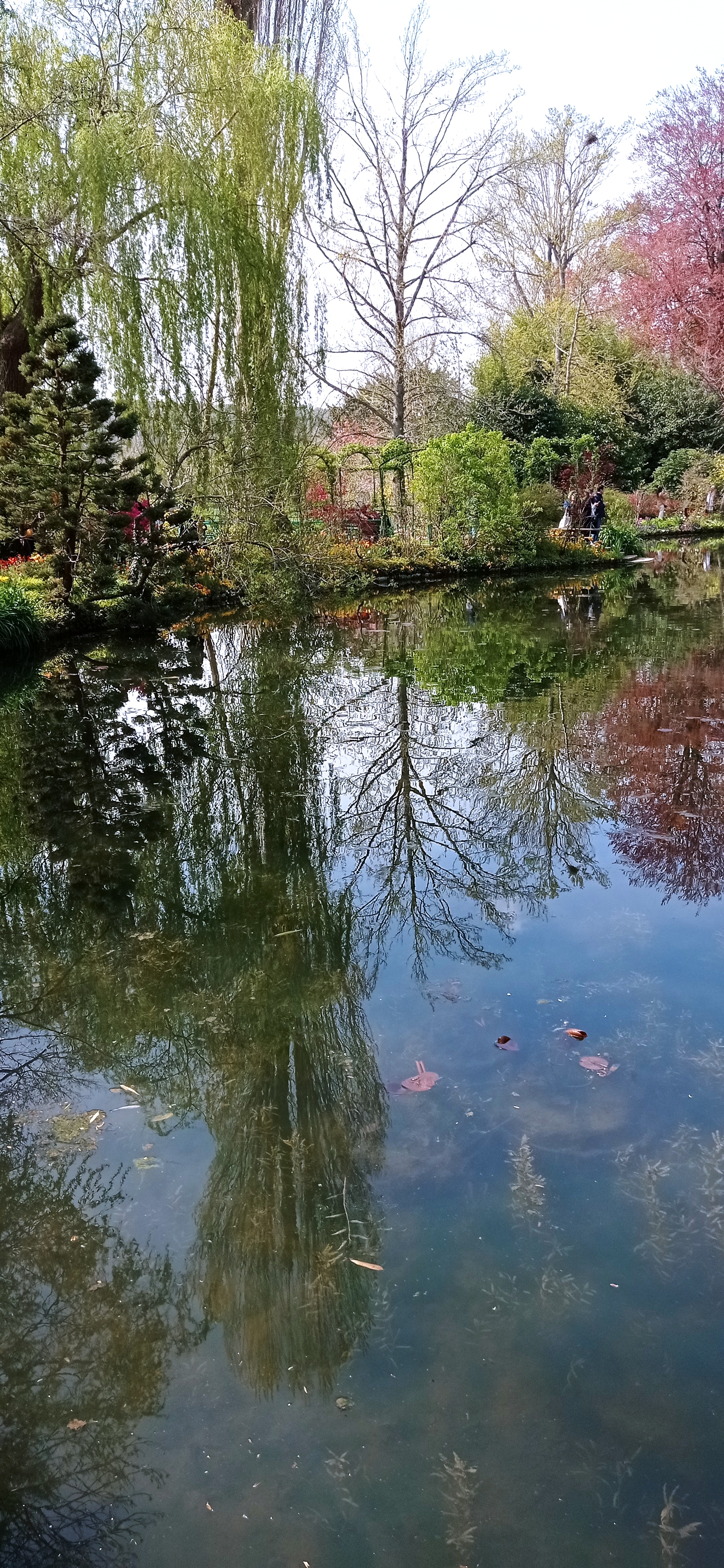 Photo n° 7 de l'avis de Marc.H fait le 16/04/2023 à 21:30