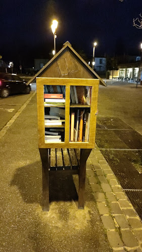 Librairie de livres d'occasion Boîte à livres de la gare de Bois-le-Roi Bois-le-Roi