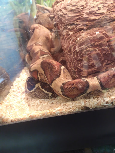 Pet Store «Wet Pets N Critters», reviews and photos, 103 TX-281 Loop, Longview, TX 75605, USA