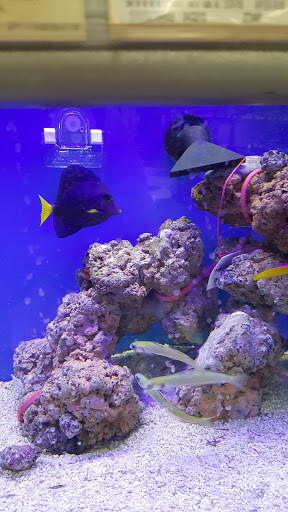 Pet Supply Store «Petco Animal Supplies», reviews and photos, 450 N Rte 17, Paramus, NJ 07652, USA