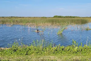Ritch Grissom Memorial Wetlands image