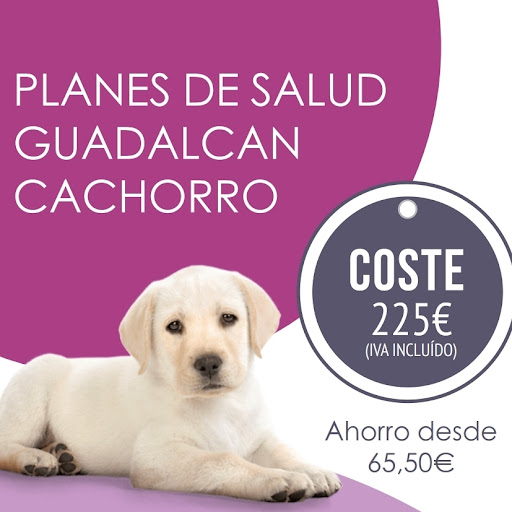 Guadalvet Veterinarios en Jerez de la Frontera