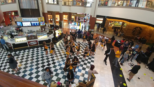 Shopping Mall «Town Center at Cobb», reviews and photos, 400 Ernest W Barrett Pkwy NW, Kennesaw, GA 30144, USA