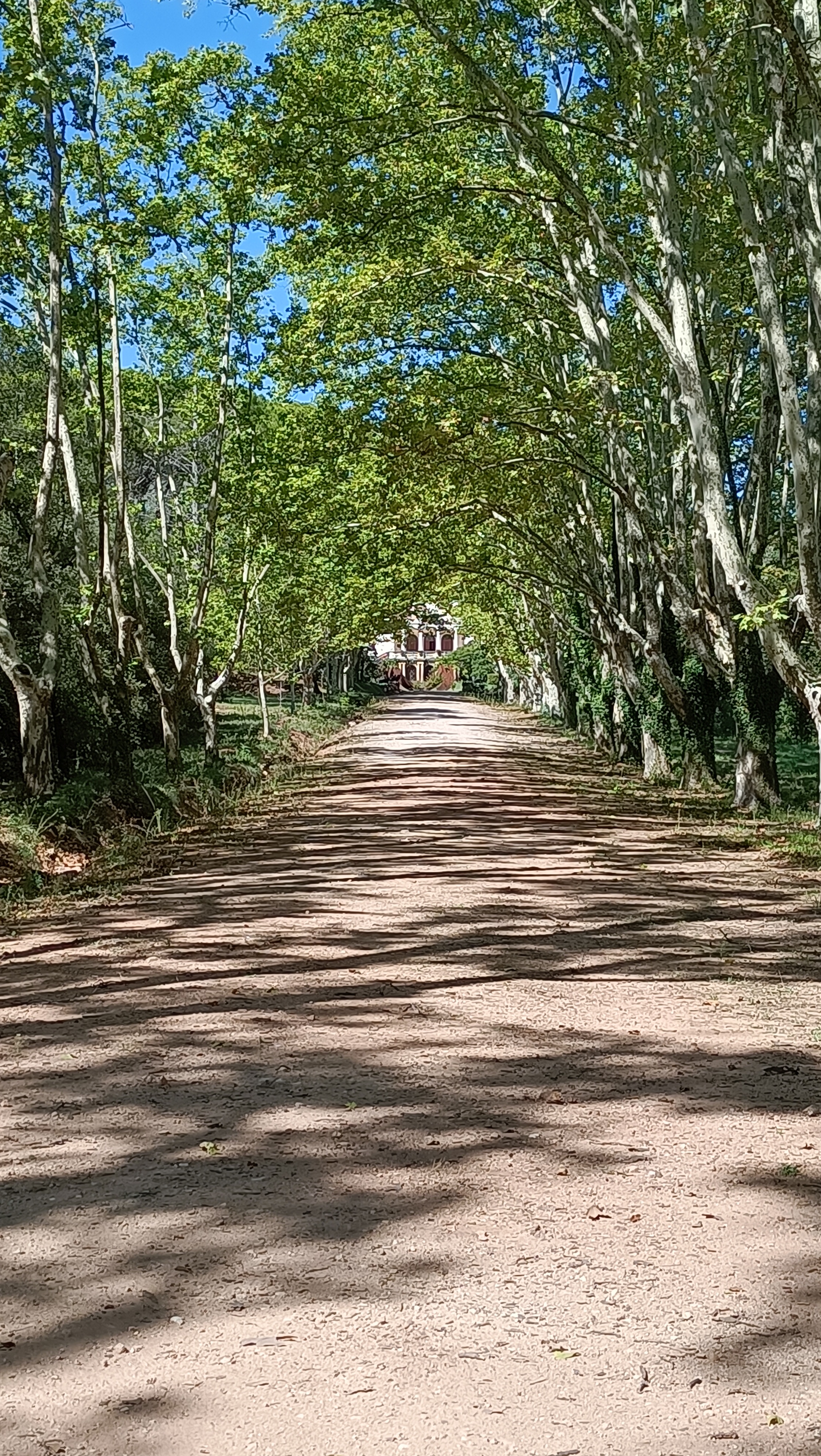 Photo n° 3 de l'avis de Annick.i fait le 17/09/2022 à 13:48