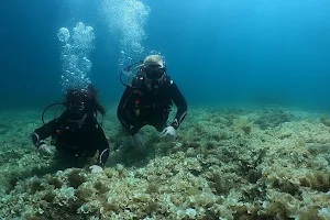 Dive on Malta Diving Center image