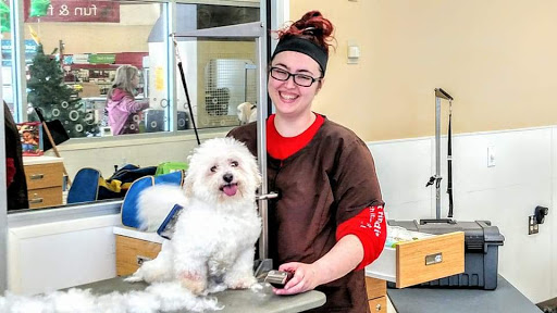 Petco Grooming