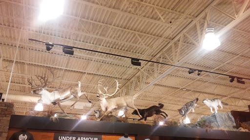 Outdoor Sports Store «Field & Stream», reviews and photos, 520 Clock Tower Way, Crescent Springs, KY 41017, USA