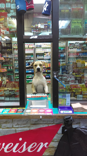 Tobacco Shop «Bobs Discount Tobacco & Beer», reviews and photos, 505 Providence Blvd, Clarksville, TN 37042, USA