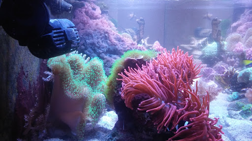 Personal Injury Attorney «Crowson Law Group», reviews and photos