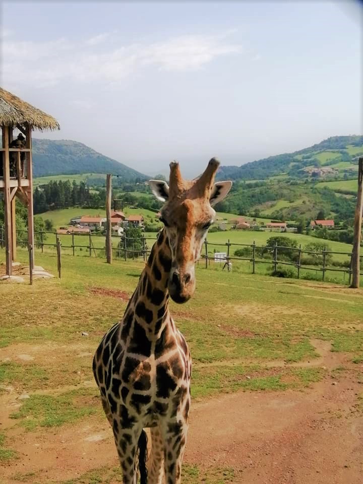 Photo n° 3 de l'avis de Océane.e fait le 17/08/2021 à 12:18