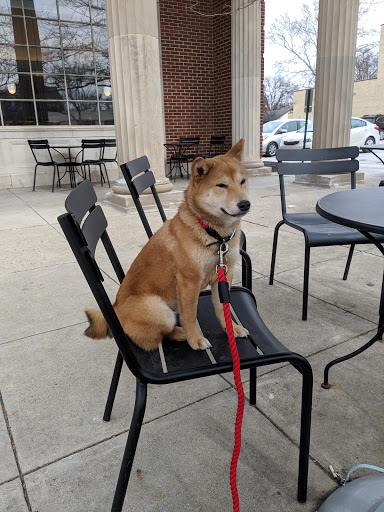 Coffee Shop «Starbucks», reviews and photos, 2450 E Main St, Bexley, OH 43209, USA