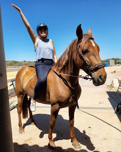 Rosenkilde Equestrian Centre - Escola