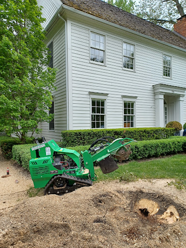 Tree Service «Polgar Tree Service & Removal LLC», reviews and photos