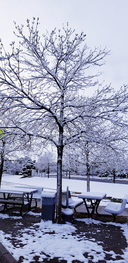 Supermarket «Walmart Neighborhood Market», reviews and photos, 1442 S Parker Rd, Denver, CO 80231, USA