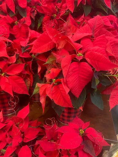 Grocery Store «Kroger Marketplace», reviews and photos, 27322 Carronade Dr, Perrysburg, OH 43551, USA