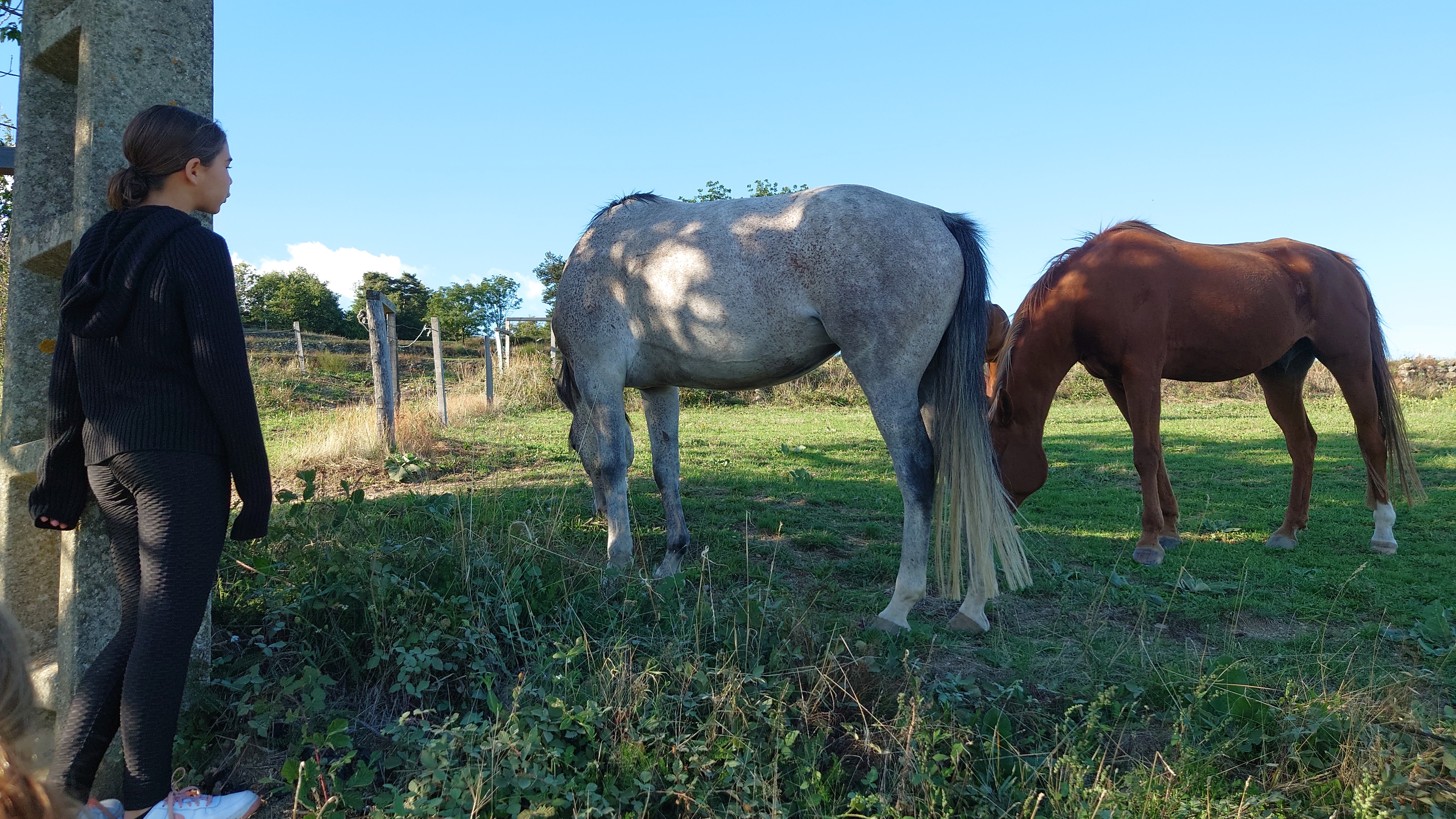 Photo n° 8 de l'avis de guillaume.o fait le 18/09/2022 à 18:35