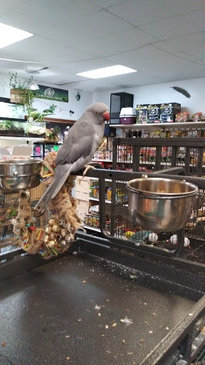 Pet Store «Off The Hook Exotics Pet Shop», reviews and photos, 926 5th Ave, Coraopolis, PA 15108, USA