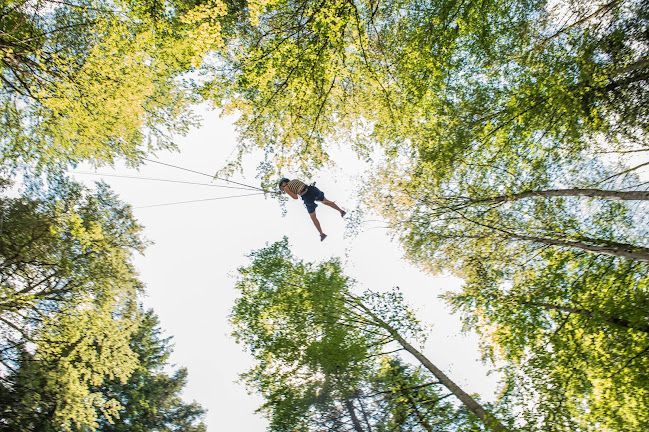 Discower Seilpark Melchsee-Frutt