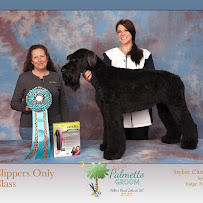 Waggin Tails Pet Inn and Salon - Photo 2 - Car repair in Rock Hill, SC, Rock Hill