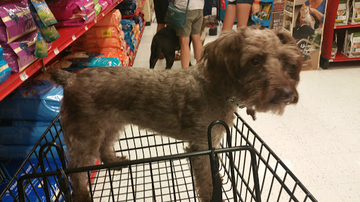 Pet Supply Store «Petco Animal Supplies», reviews and photos, 2131 Pleasant Hill Rd, Duluth, GA 30096, USA