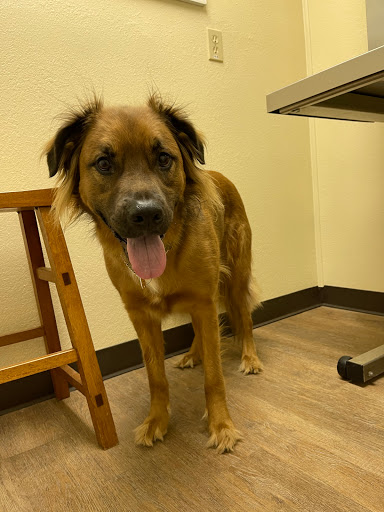 8997 FM1283, Lakehills, TX 78063, USA