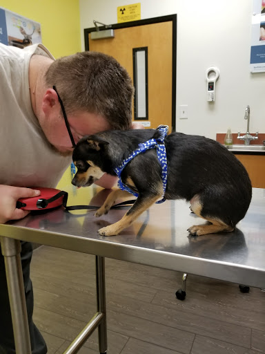 Pet Supply Store «PetSmart», reviews and photos, 5521 Mirage St, Yorba Linda, CA 92887, USA