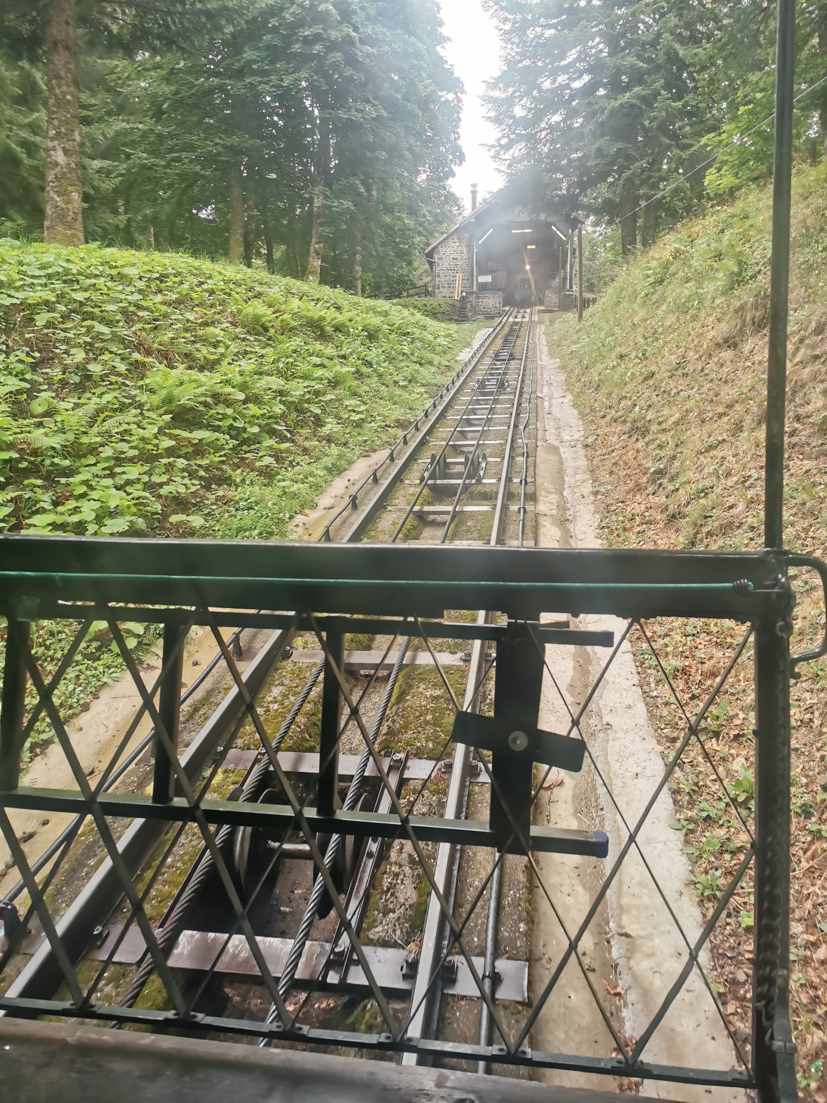 Photo n° 2 de l'avis de Virginie.e fait le 09/08/2019 à 17:17