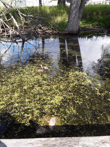 Nature Preserve «Times Beach Nature Preserve», reviews and photos, Coast Guard Station S Rd, Buffalo, NY 14203, USA