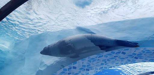 Zoo «Arctic Ring of Life», reviews and photos, 8450 W 10 Mile Rd, Royal Oak, MI 48067, USA