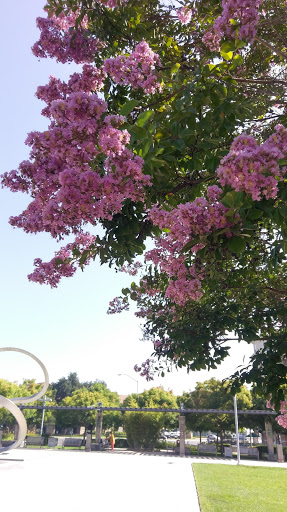 Hotel «Juniper Hotel Cupertino, Curio Collection by Hilton», reviews and photos, 10050 S De Anza Blvd, Cupertino, CA 95014, USA