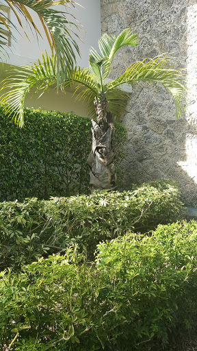 Spa Resort «Spa 66», reviews and photos, 2301 SE 17th St, Fort Lauderdale, FL 33316, USA