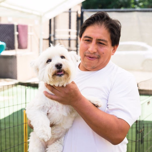 Pet Groomer «The Pet Set - Buckhead», reviews and photos, 2480 Briarcliff Rd NE #3, Atlanta, GA 30329, USA