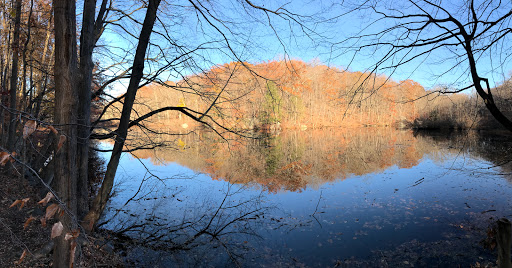 Nature Preserve «Audubon Greenwich», reviews and photos, 613 Riversville Rd, Greenwich, CT 06831, USA