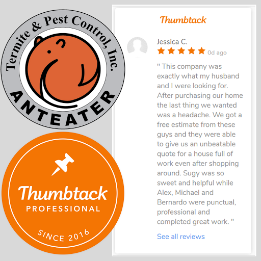 Anteater Termite & Pest Control image